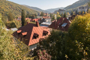 Rustic Regal Sinaia